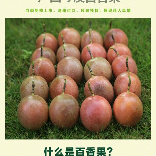 岑溪市紫香一号百香果 33元一箱