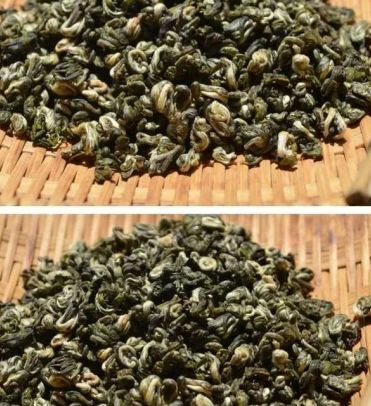 思茅滇绿茶 二级 散装