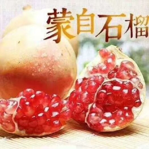 蒙自市 蒙自石榴