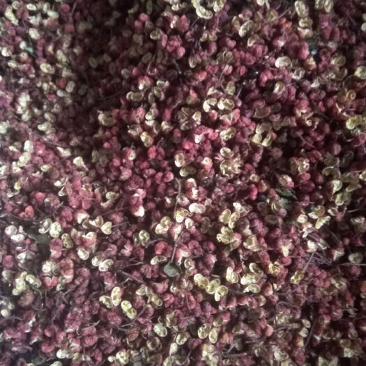 秦安县秦安花椒 特级 干花椒