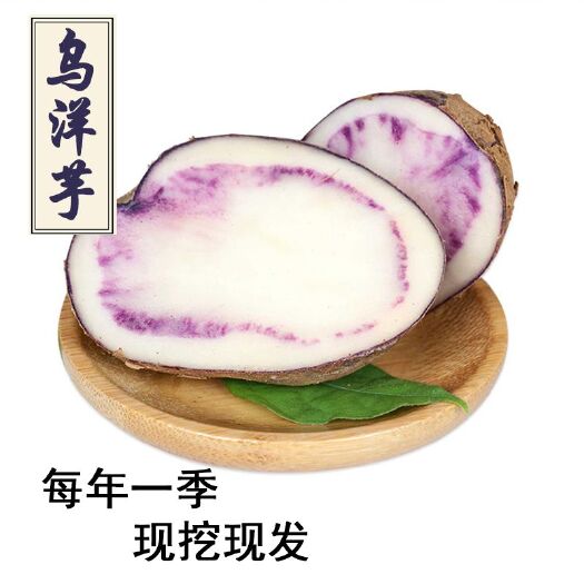 六盘水珍珠紫土豆 贵州凉都乌洋芋富含花青素可一件代发需要联系