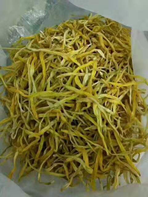方城县黄花菜 河南省南阳市方城县