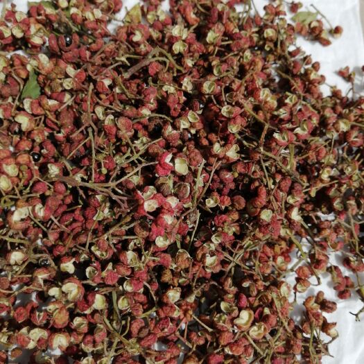 宜阳县大红袍花椒 一级 干花椒