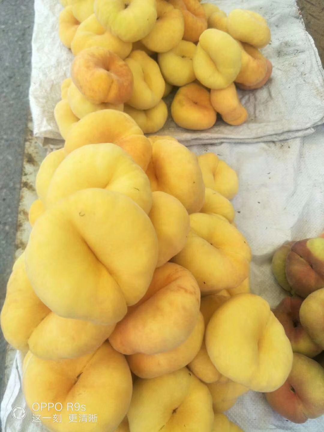  黄金蟠桃