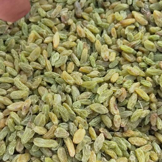 吐鲁番 新疆葡萄干