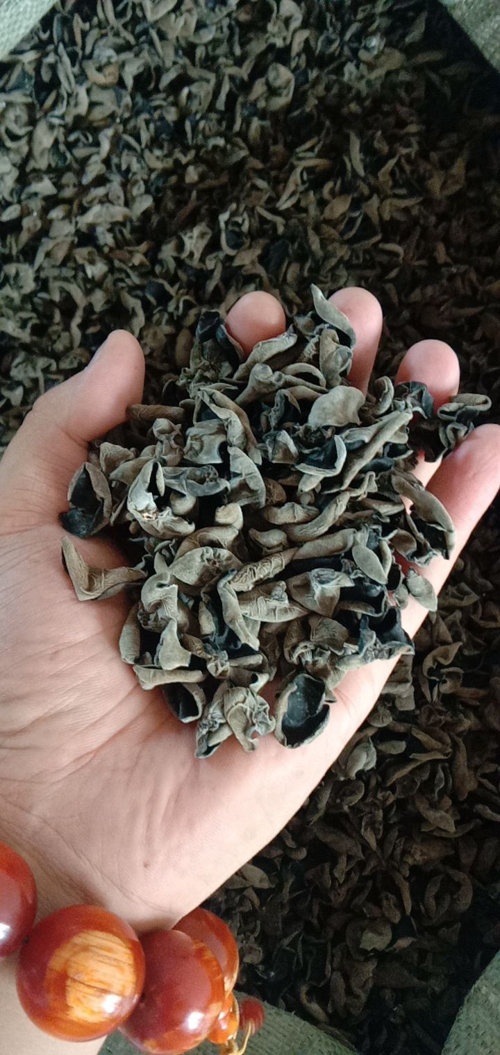  出售黑龙江黑木耳