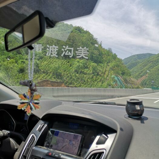 普通香菇 蘑菇 花菇