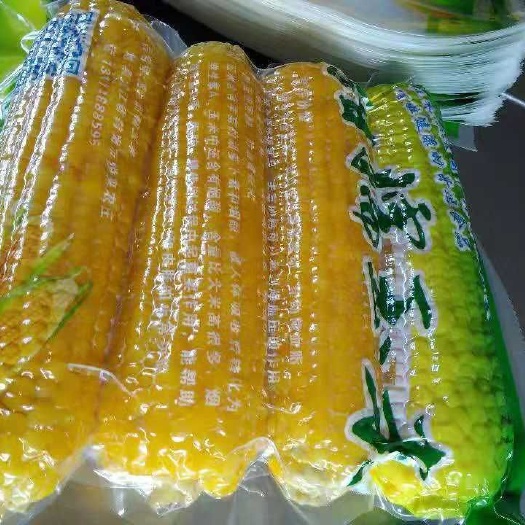 鹤岗 自产纯绿色速冻糯玉米