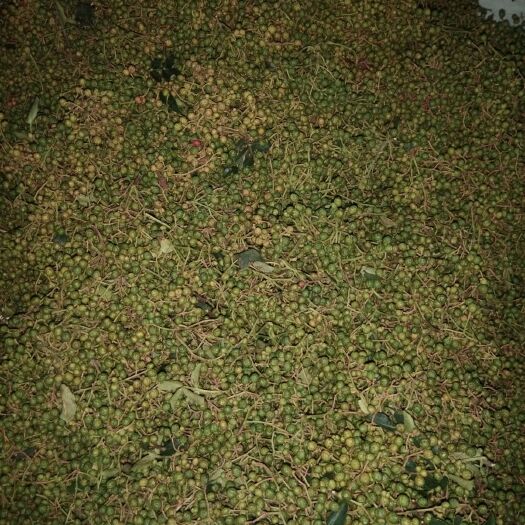 济南山东花椒 特级 鲜花椒