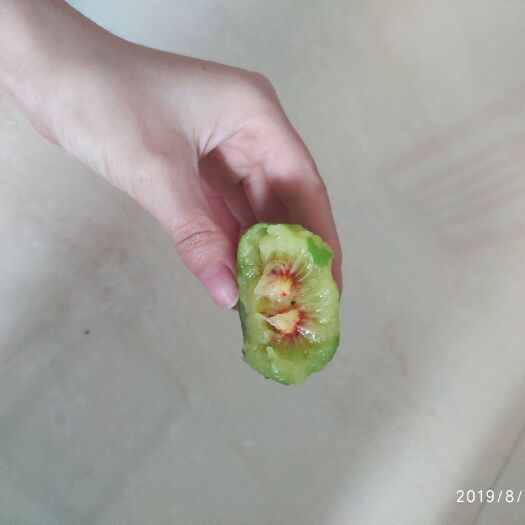 绍兴 浙江绍兴舜阳红心猕猴桃可以预订了，8.20左右上市