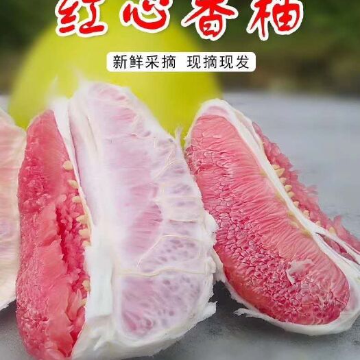 环江县广西河池红心柚！待售！