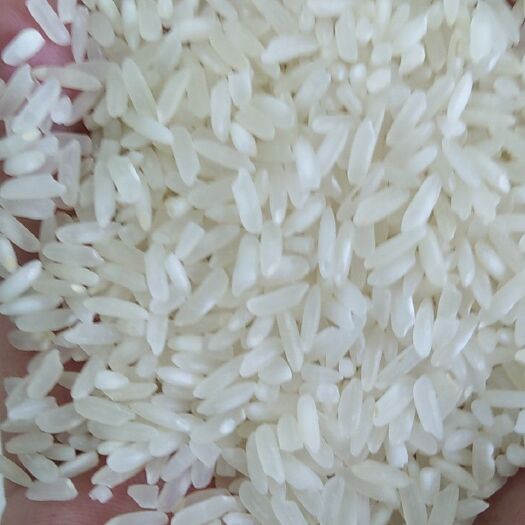 巢湖丰良优系列 二等品 中稻 籼米