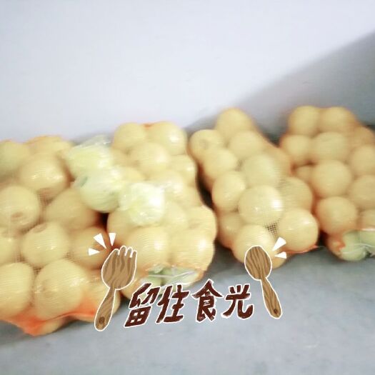 惠东县红肉蜜柚 4斤以上