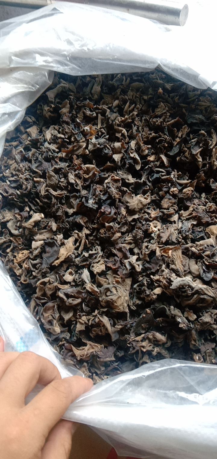  出售黑龙江黑木耳