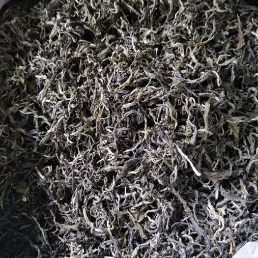 广南县云南绿茶 三级 散装