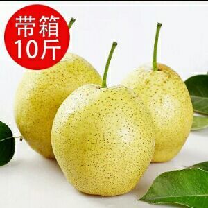 阜南县 ＠_＠农家富硒梨