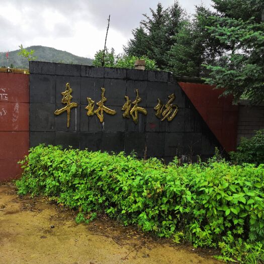 伊春土蜂蜜 自产自销，产地发货，拒绝高价，质量一流：