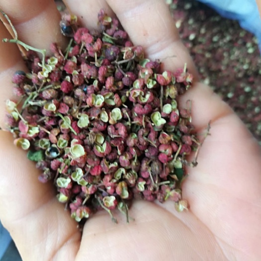 芮城县大红袍花椒 一级 干花椒