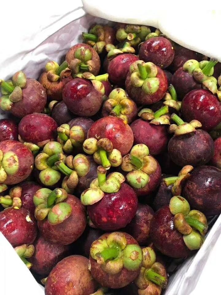  现货泰国山竹5斤中通包邮包售后一件代发支持社区团购和批发