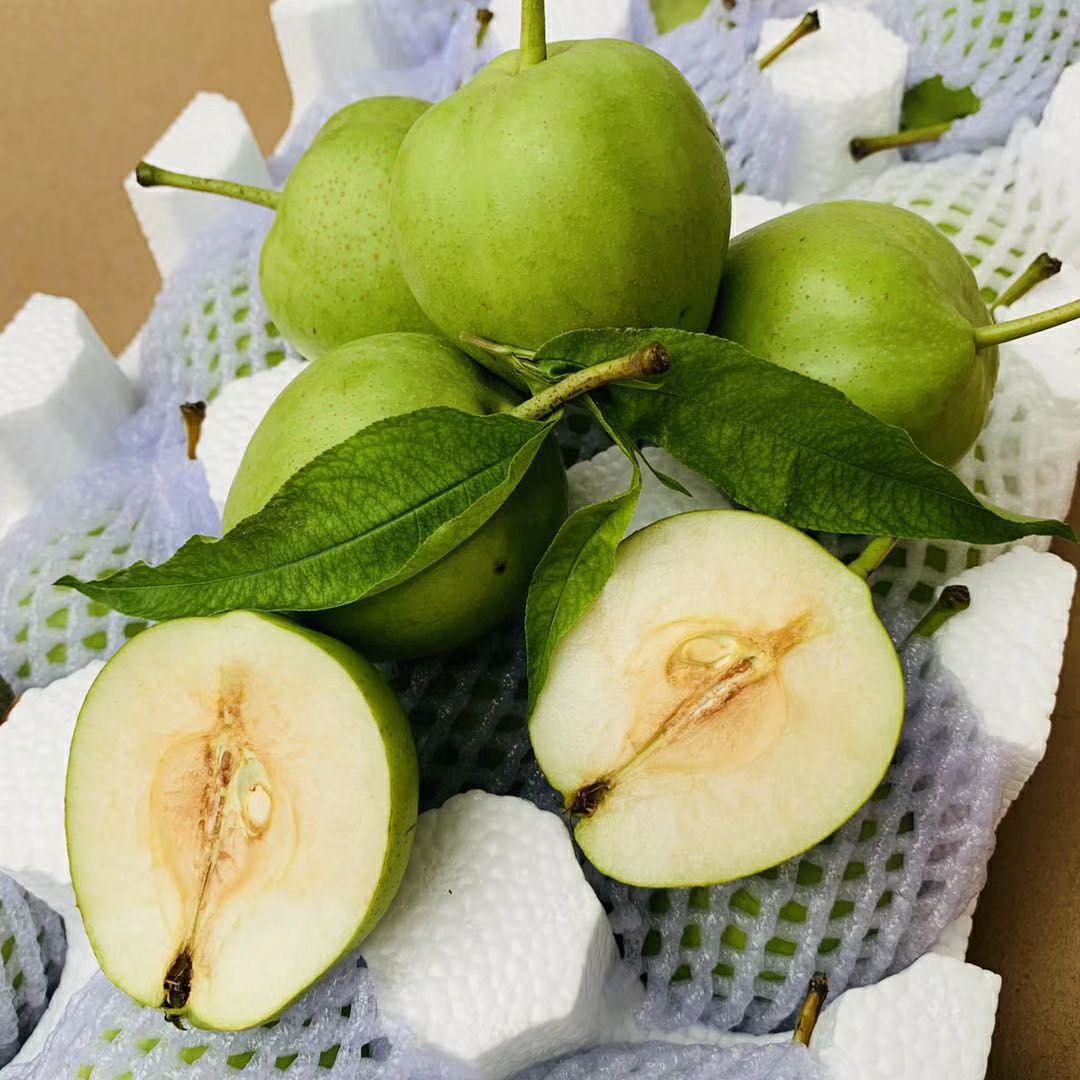  🍐早酥梨托盘精装 