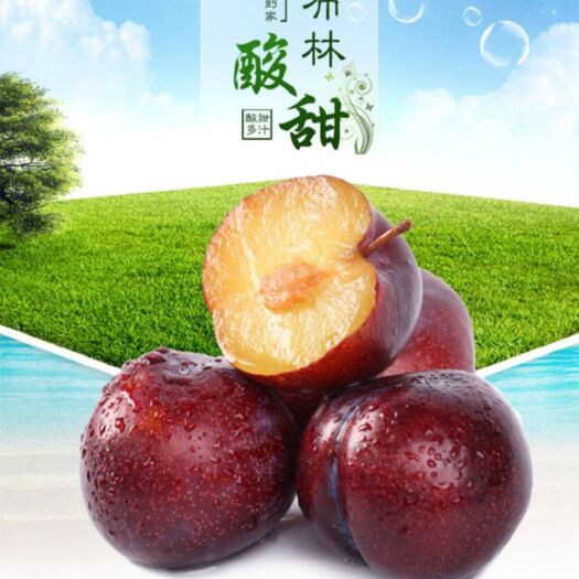 广州 黑布林产地现摘现发，新鲜到家8斤（30—45个）