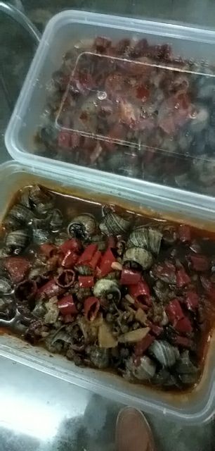 唆螺！湖北香辣风味即食大石螺，鲜香可囗，肉质肥美，辣的过瘾
