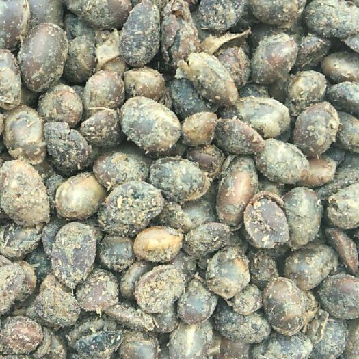 寿光市豆粕肥料 发酵大豆