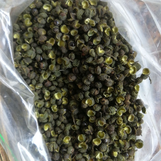 长阳县 花椒