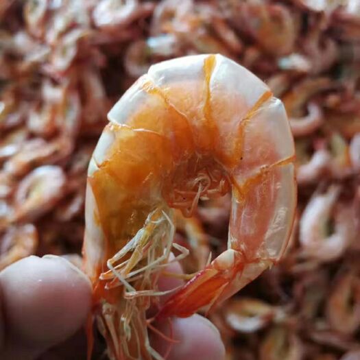 滨州烤虾干 淡干无盐，欢迎订购