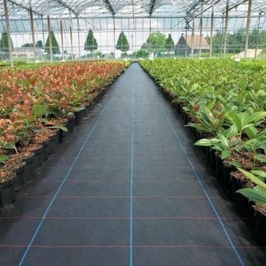 天津防草布 防草膜 优质防草布