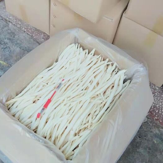 巴中 四川沙参