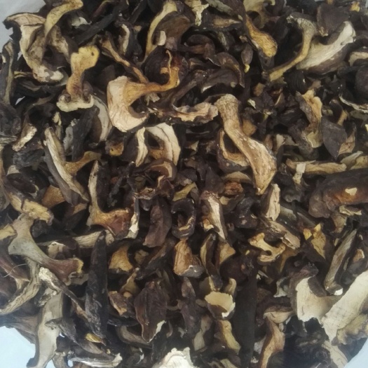 江城县美味牛肝菌 干牛肝菌 野生牛肝菌