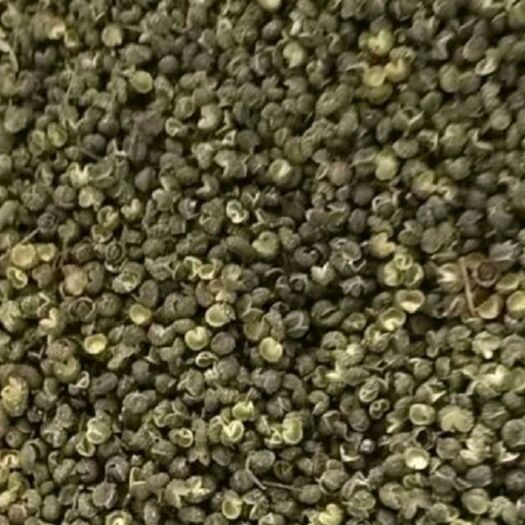 巧家县青花椒 花椒叶 自己家种植