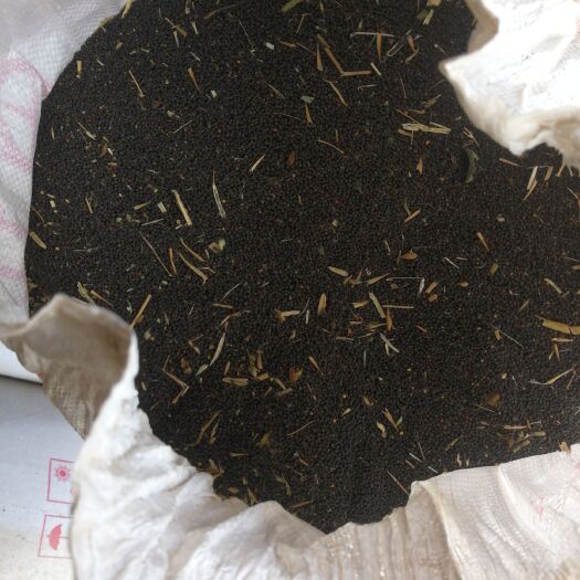 临漳县 精品油菜籽出油高