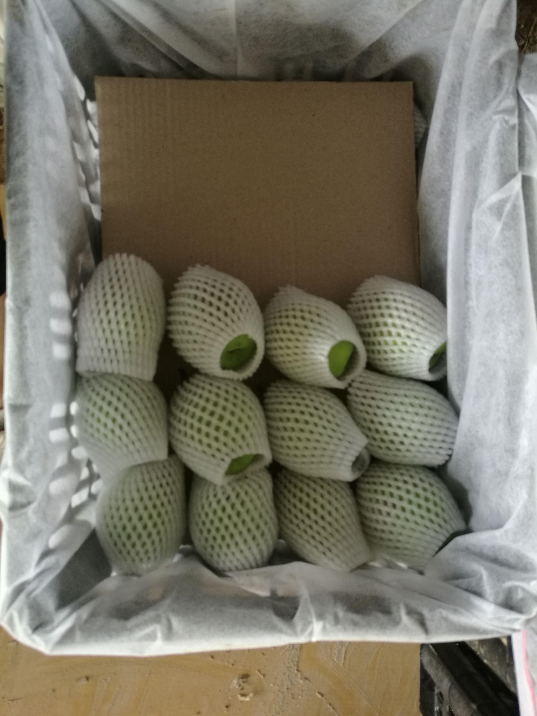  新梨七号，150克起步，个大质优