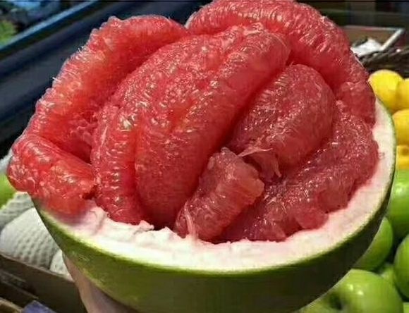 灵山县青柚苗红宝石青柚青皮红肉的柚子