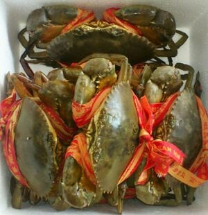 三门县 正宗三门浦坝港青蟹