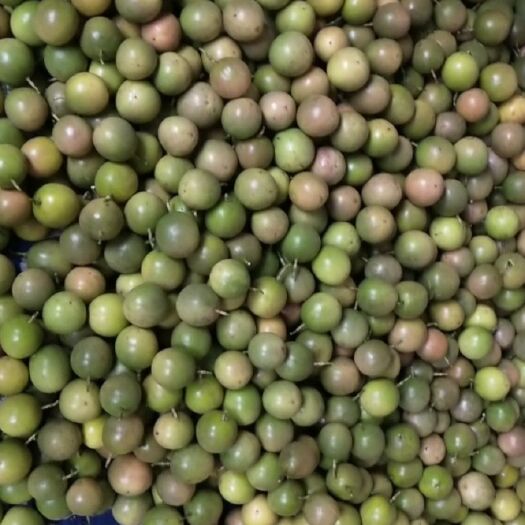 芒市紫香一号百香果 有很多，5－6个一斤