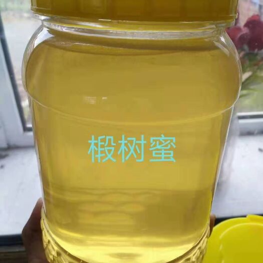 饶河县黑蜂蜂蜜 东北黑蜂椴树原蜜，和加工。货真价实。
