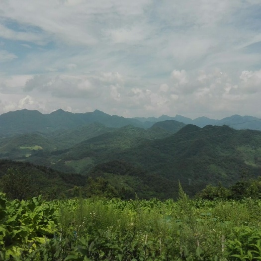 石泉县荒地 荒山和山地