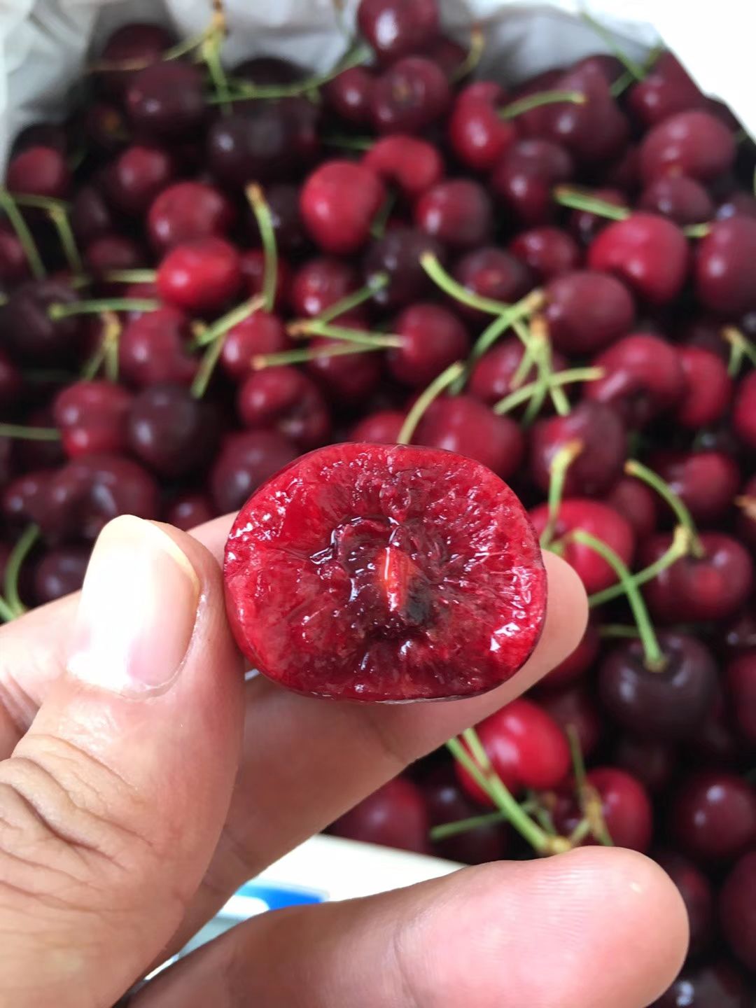 美国车厘子 26-28mm 12-15g