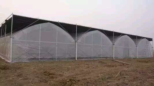 智能大棚系统 智能大棚