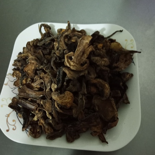 古浪县 野生菌 野生食用菌 野生蘑菇