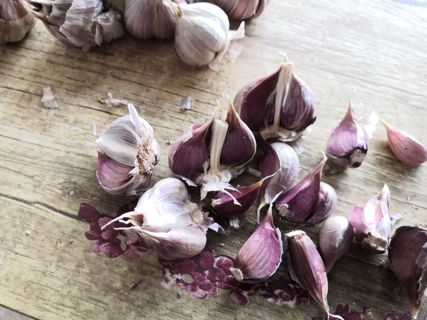 红皮蒜  优质高原红蒜种子  95%红根蒜苗种子火蒜种子