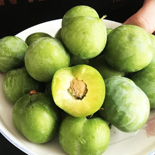 垫江 重庆梁平 垫江青脆李