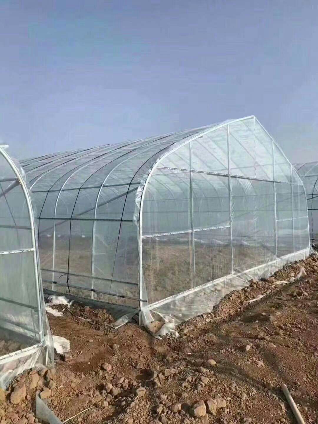  本公司专业生产，养殖大棚，种植大棚，单体大棚，连体大棚！
