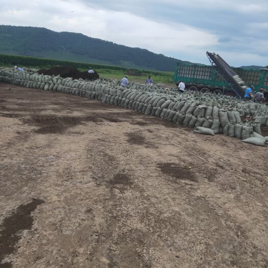 柳河县 大量优质草炭土