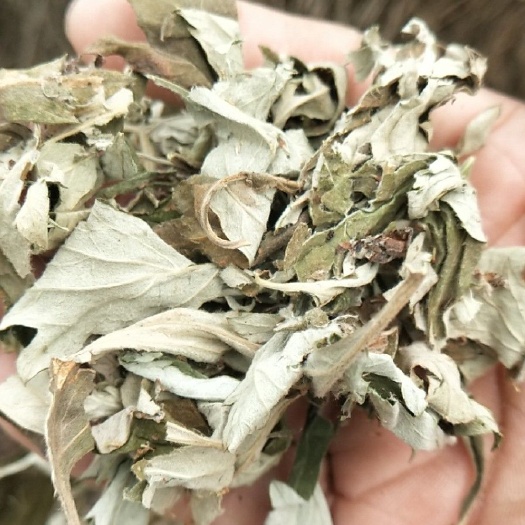 端午节纯手工大艾叶，品质可靠，全国部分地区包邮发货。