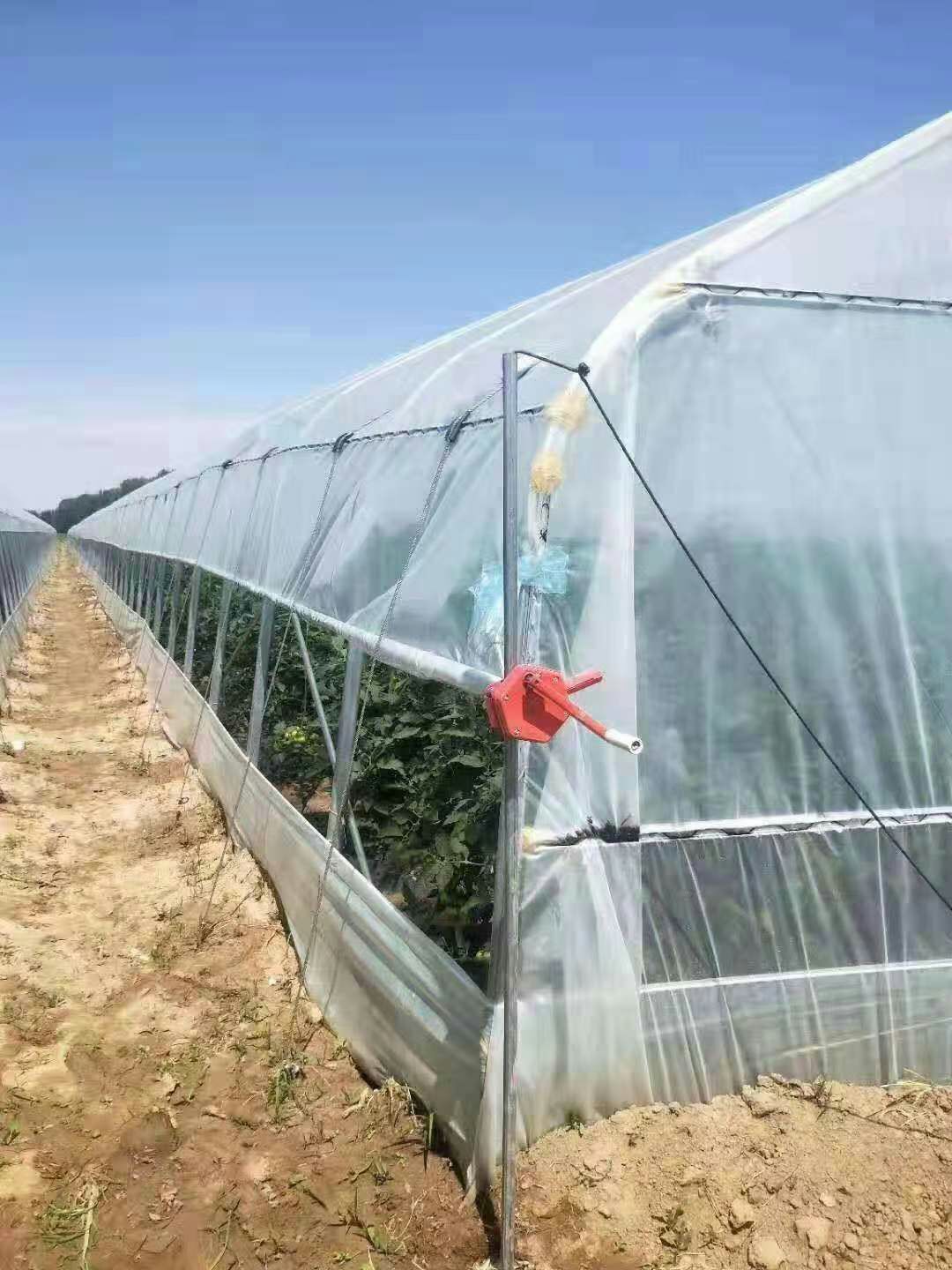  本公司专业生产，养殖大棚，种植大棚，单体大棚，连体大棚！