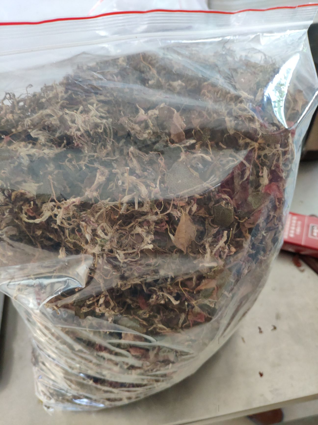金线莲散货干品500克/件（散货，不是整株）